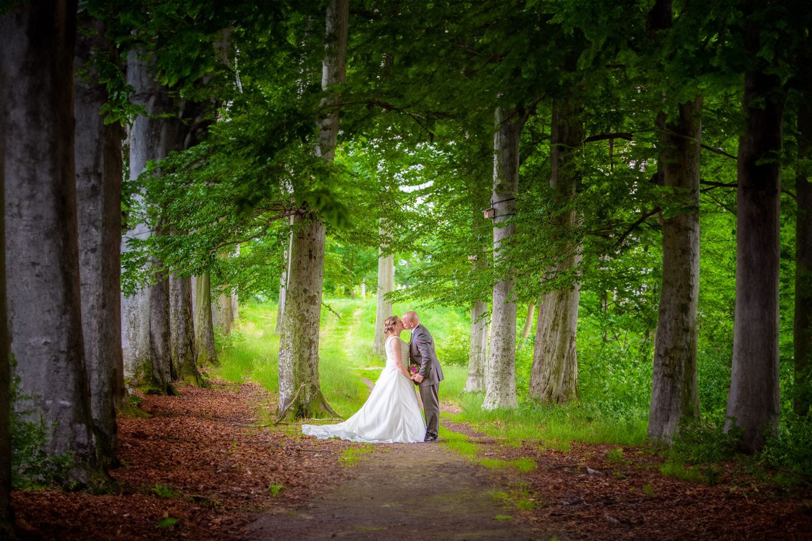 Brautpaar auf einem Waldweg zwischen hohen Bäumen – Marko Lorenz, Hochzeitsfotograf