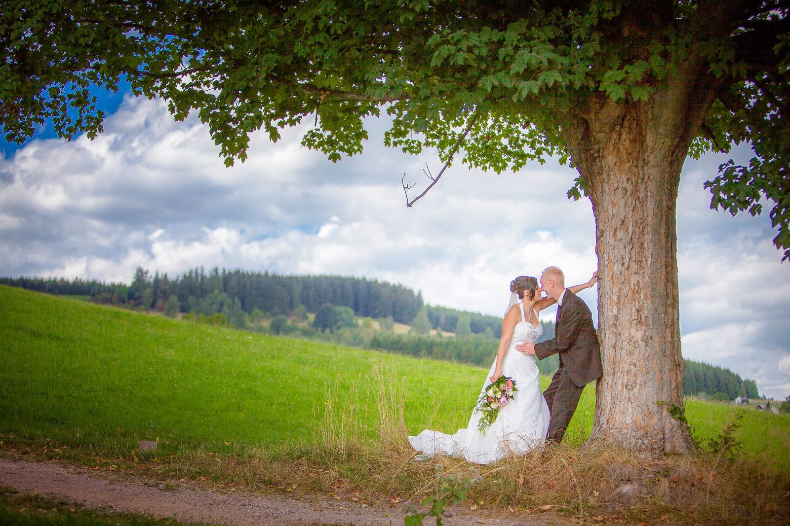 Brautpaar unter einem Baum mit Blick über das Erzgebirge – Marko Lorenz, Hochzeitsfotograf
